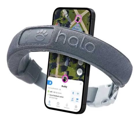 Halo Collar Review - The Ultimate Guide You Need to Explore