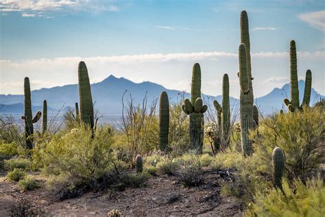 Hiking at Arizona's Picacho Peak State Park