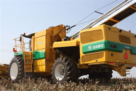 Oxbo 8840 Seed Corn Harvester | Corn seed, Seeds, Harvester