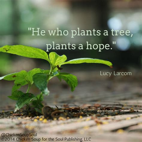 Tree Planting Quotes - ShortQuotes.cc