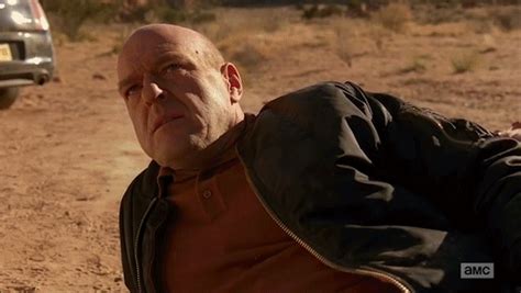 'Breaking Bad' Season 5 Episode 14 'Ozymandias' In GIFs: Series Reaches Boiling Point As Walt's ...