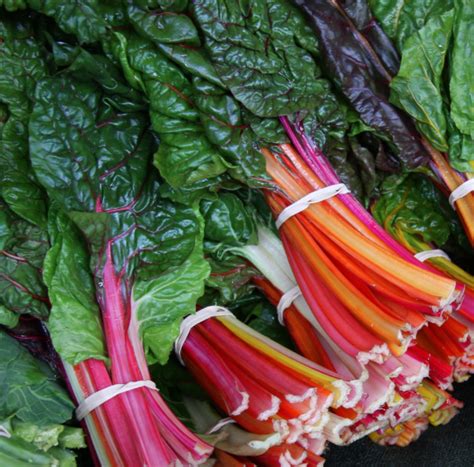 Swiss Chard (Rainbow) – Click Fork