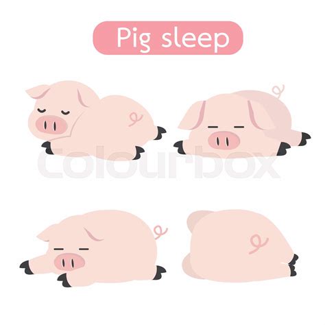 Cute sleeping pig Cartoon Vector set | Stock vector | Colourbox