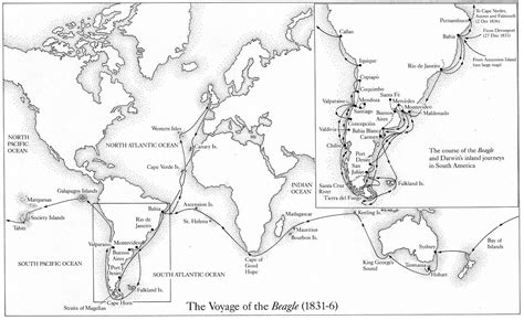 Voyage of the Beagle | Biology, Charles darwin, Beagle