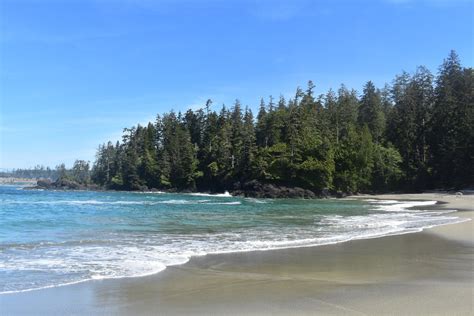 Best walks in Ucluelet BC - Seek to sea more | Ucluelet, Ucluelet bc, Outdoors adventure