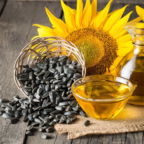 Sunflower Seeds - Black Oil Microgreen | Flower Seeds in Packets & Bulk ...