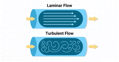 Laminar vs. Turbulent Flow in the Lungs: An Overview (2024)