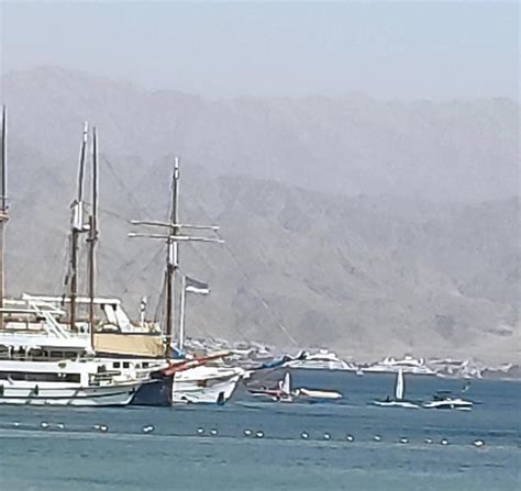 A giant flag of the 1916 Arab Revolt spotted in Aqaba, Jordan. : r ...