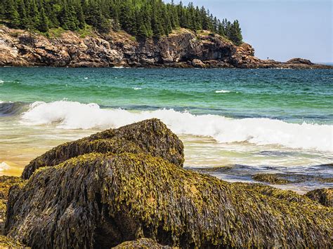 Sand Beach @ Acadia Maine Photograph by Linda Pulvermacher | Fine Art America