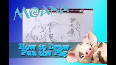 How to Draw PUA the Pig from Disney's MOANA - @dramaticparrot - YouTube