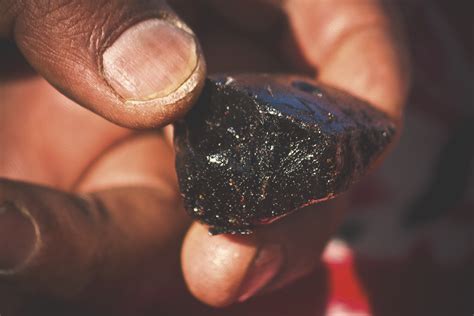 Everything You Need To Know About Shilajit - Naturalcave.com