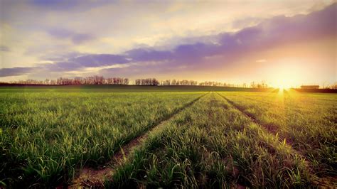 Wallpaper : sunlight, landscape, nature, sky, sunrise, evening, morning ...