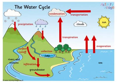 Water Cycle Diagram With Explanation Class 7 - Design Talk