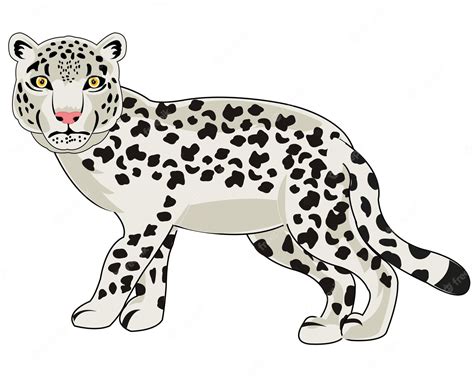 Premium Vector | Vector illustration of the wildlife snow snow leopard ...