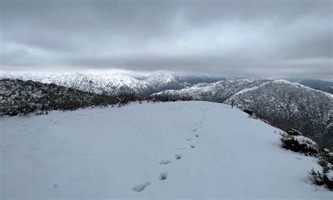 Photos of recent snowfall in the San Fernando Valley