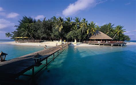 HD wallpaper: Dock Maldives, white sand beach resort, nature ...