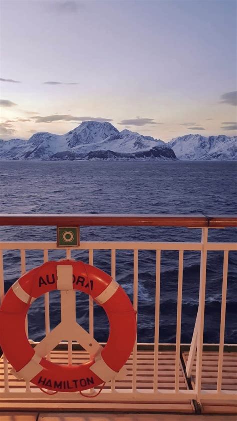 6 Amazing Reasons to Book a Norway Northern Lights Cruise (2022) - The Wanderlust Within