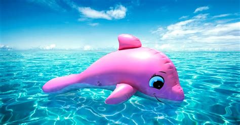 Baby Amazon Pink River Dolphin | Amazing Wallpapers