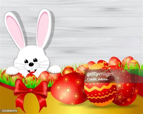 59 Sunny Bunny Cartoon Stock Photos, High-Res Pictures, and Images - Getty Images