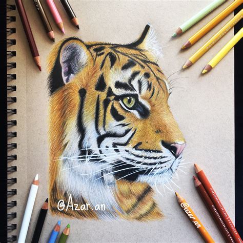 Realistic tiger colored pencil drawing Instagram: @azar.an | Cat coloring book, Pencil drawings ...