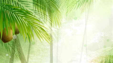 Coconut Leaf Wallpapers - Top Free Coconut Leaf Backgrounds ...