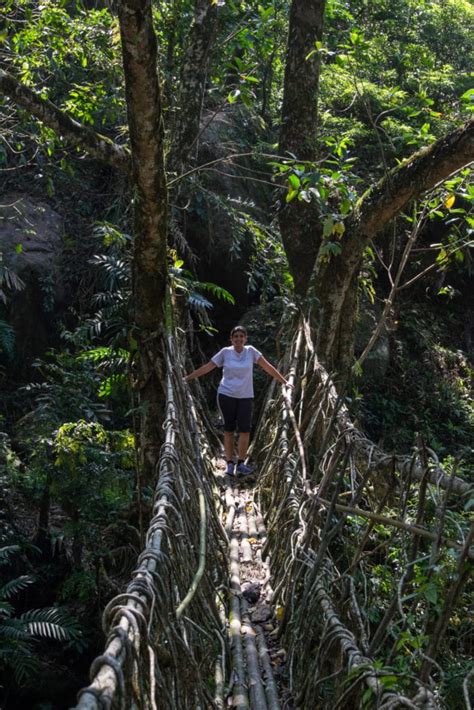 A guide to the amazing Living Root Bridges of Meghalaya | The ...