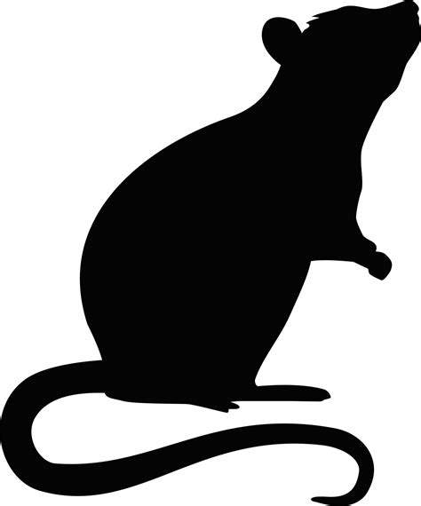 Rat Mouse Rodent - rat png download - 1200*1444 - Free Transparent Rat ...