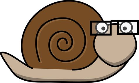 Snail Transparent Background - PNG Play