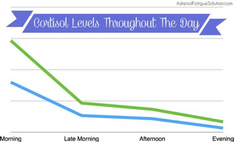 How Do Cortisol Levels Change Throughout The Day?