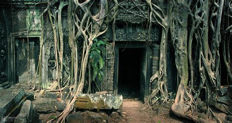 Get a Walk Through Ta Prohm Temple, Cambodia - YourAmazingPlaces.com