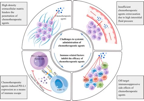 Frontiers | Combinatorial regimens of chemotherapeutic agents: A new ...