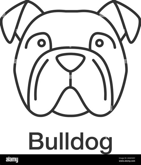 English Bulldog linear icon. Thin line illustration. Utility dog breed ...