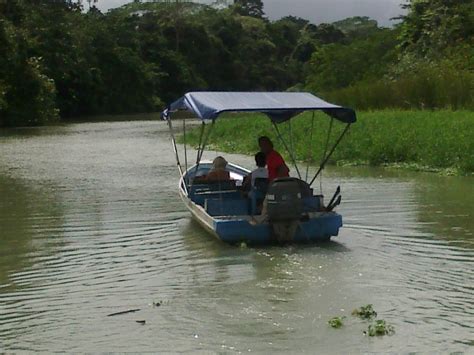 Tortuguero Wildlife Tour - All You Need to Know BEFORE You Go (2025)