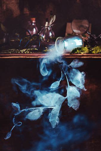 Bookshelf with dried plants, glass jars, knocked bottle, botanist tools and a smoking silhouette ...