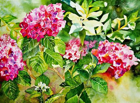 Pretty in Pink Hydrangea Painting by Linda Broome - Fine Art America