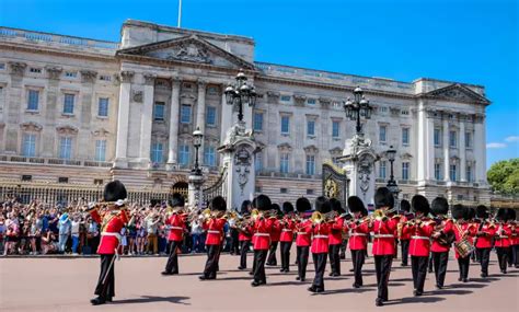 Prince Harry Hair Transplant - Vera Clinic