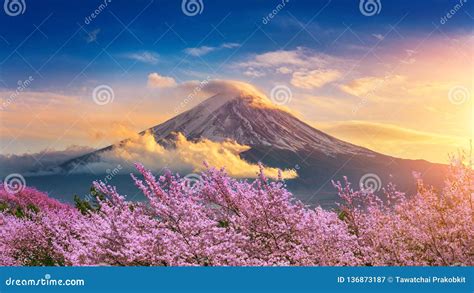 Fuji Mountain and Cherry Blossoms in Spring, Japan Stock Image - Image ...