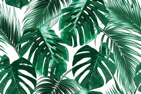 Aesthetic Palm Leaves Wallpapers - Top Free Aesthetic Palm Leaves ...