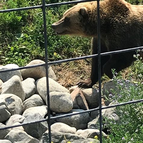 Kamloops Wildlife Park - Kamloops, BC