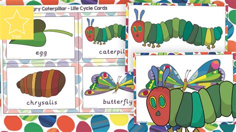 The Very Hungry Caterpillar And Its Life Cycle Butterfly Life Cycle ...