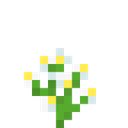 flower_azure_bluet - Discord Emoji