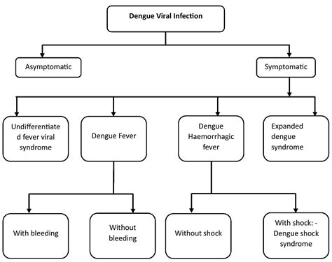 Cureus | Updates in the Management of Dengue Shock Syndrome: A ...