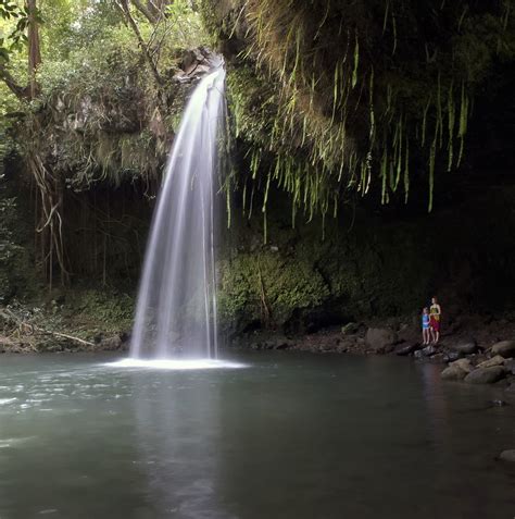 Maui Waterfall | This is typical of several waterfalls we sa… | Flickr