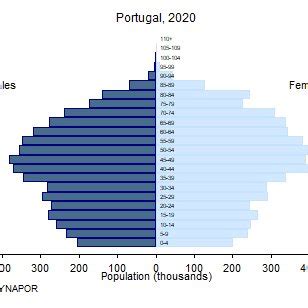 9. AGE STRUCTURE -POPULATION PYRAMIDS | Download Scientific Diagram