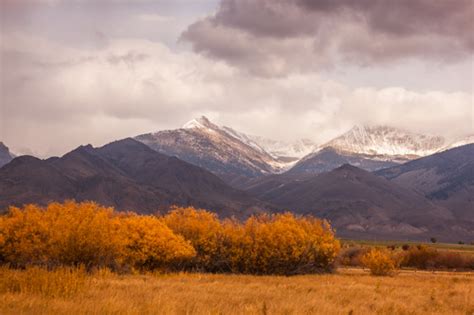 Fall on Alderspring Ranch - Organic Beef Matters