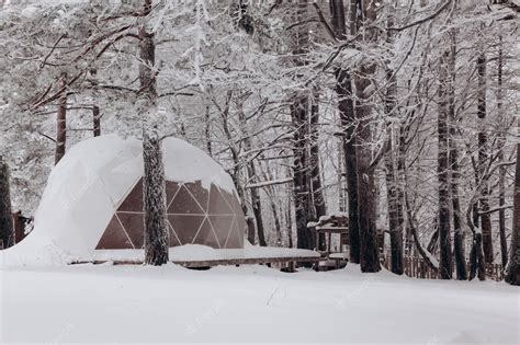 Premium Photo | Glamping area with dome tent in the snowy winter outdoors