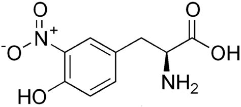 A schematic drawing to show protein nitrotyrosine.... | Download ...