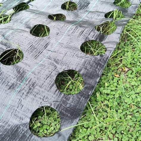 Weed Cover Fabric Planting Holes - Ground Cover Weed Barrier - Eco-Friendly for Vegetable Garden ...