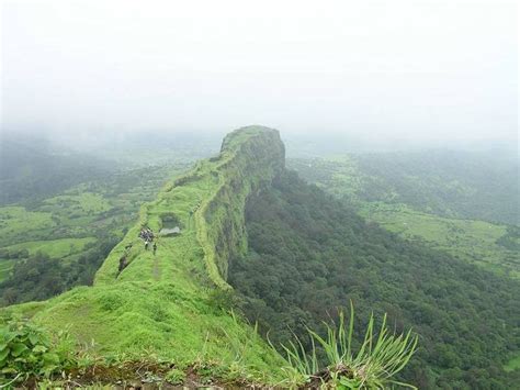 Sri Lanka - Nature: Horton Plains National Park