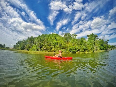 Crystal River Florida Kayaking 3 - Clearwater Beach Blog